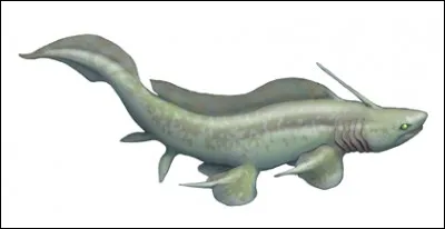 Quel est ce requin disparu ?