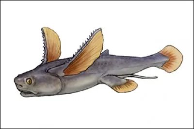 Quel est ce requin disparu ?