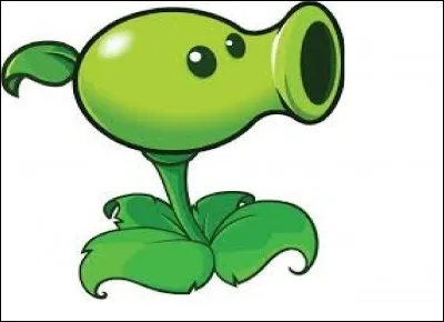 Quelle est cette plante ?