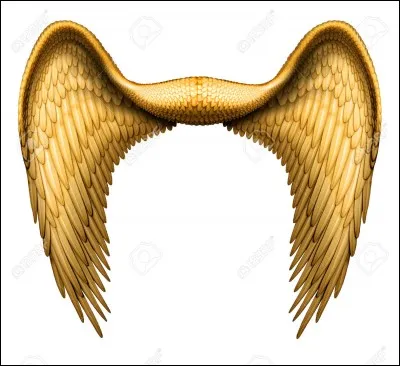 De quel jeu de Mario est inspiré le comportement des élytres ?