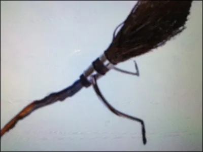 En quelle année Harry reçoit-il son Éclair de feu ?