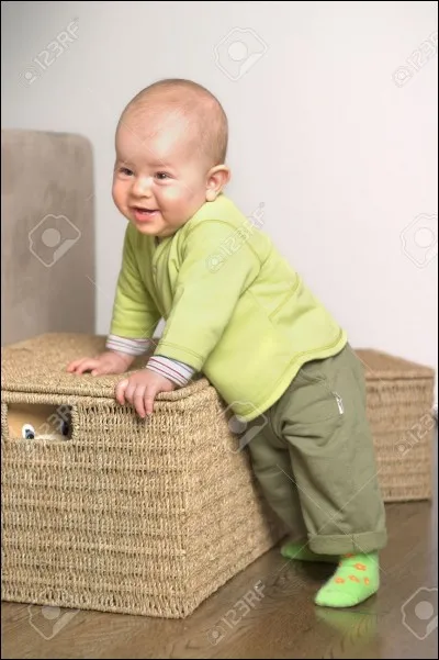 "B&eacute;b&eacute;" est aussi une s&eacute;rie ! De quelle d&eacute;cennie cette s&eacute;rie faisait-elle partie ?