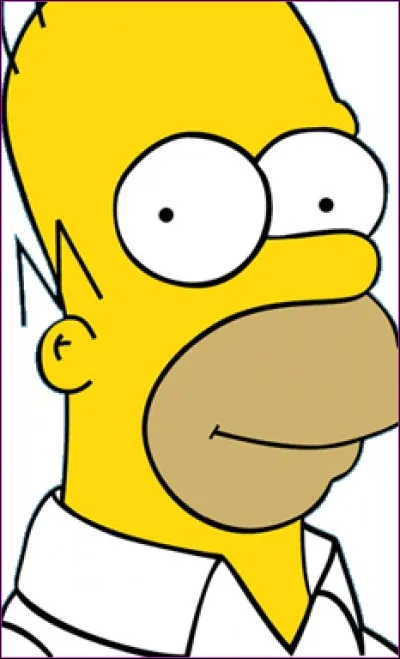 Quelle est la marque de la bière que boit Homer ?