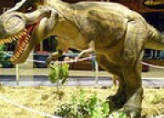 Quiz Vrai ou faux (2) - Tyrannosaurus