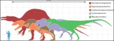 Son nom signifie « roi des reptiles géants ».