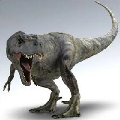 Le tyrannosaure était carnivore.