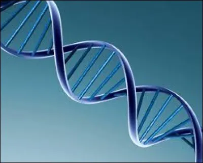 Qu'en est-il d'une cellule à n chromosomes ?