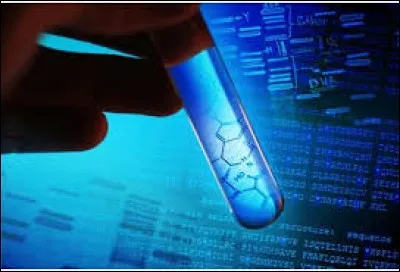 Qu'en est-il de la fin de la seconde division de méiose ?