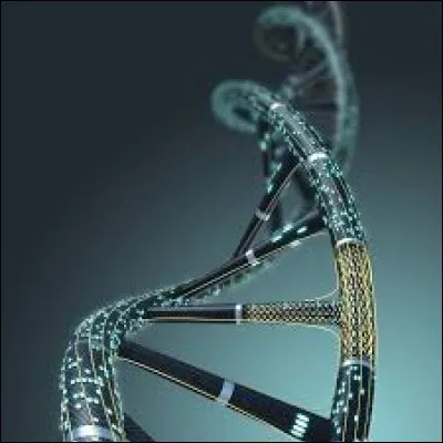 Comment appelle-t-on le brassage se produisant &agrave; l'int&eacute;rieur du chromosome ?