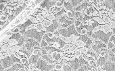 Quel animal retrouve-t-on sur la dentelle noire ?