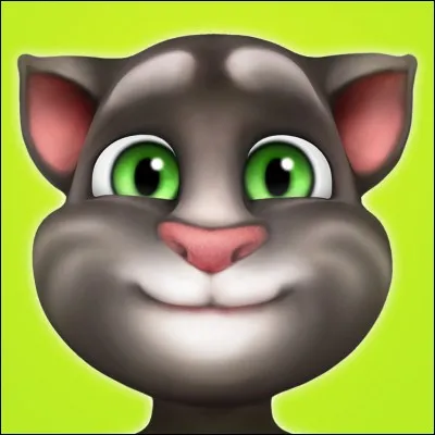 "Talking Tom" : les tablettes, préparez-vous, Tom et... vous attendent.