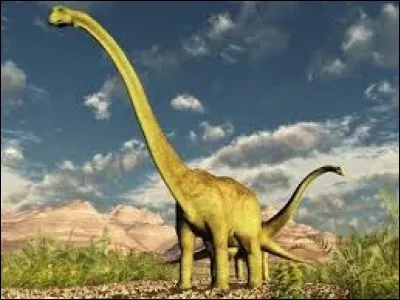 Les fossiles de Diplodocus sont fréquents dans la Formation de Morrison.