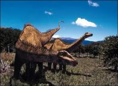 Marsh et Hatcher supposaient que l'animal vivait dans l'eau, en raison de la position de ses narines au sommet du crâne.