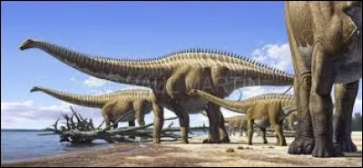 Nous aurons la chance de voir des moulages de squelettes de Diplodocus qui sont exposés au Musée des sciences naturelles de Houston.