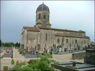 Si je vous dis : « Facile à semer », vous répondez :