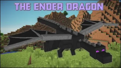 Quel est le mob chez le dragon ?