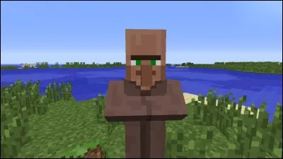Quel mob se transforme en villageois ?