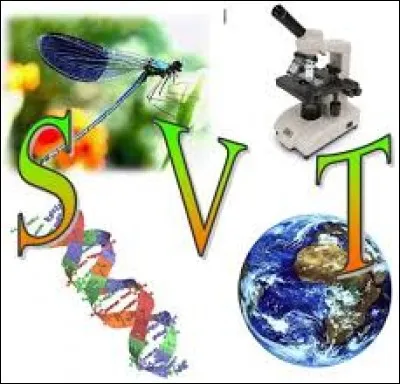 Dans lequel de ces domaines la réponse précédente sert-elle énormément ?