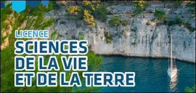 Et comment appelle-t-on le transfert de gène par la voie virale ?
