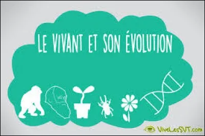 Lequel de ces termes correspond à un gène du développement ?