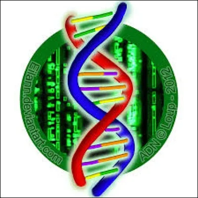 Quelle est la nature du facteur de transcription ?