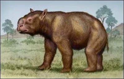 Comment s'appelle-t-il ?