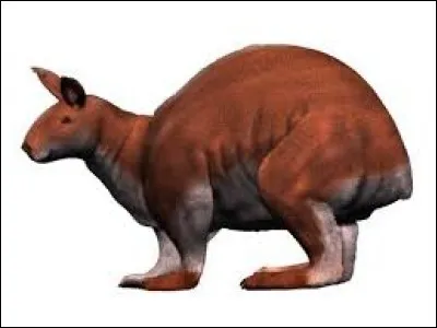 Allez-vous le reconnaître ?