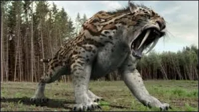 Allez-vous le reconnaître ?