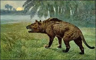 Allez-vous le reconnaître ?