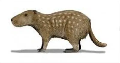Comment cet animal préhistorique se nomme-t-il ?