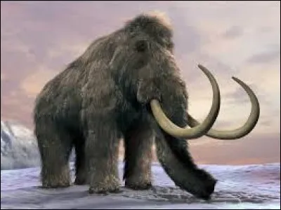 Comment cet animal préhistorique se nomme-t-il ?