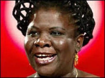 Le Mozambique de Luisa Diogo est une ancienne colonie d'un pays européen. Quelle langue y parle-t-on ?