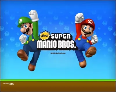 Comment sont Mario et Luigi (dans leur famille) ?