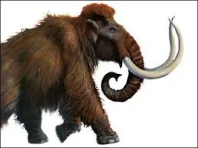 Le mot « mammouth » vient du grec.