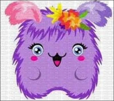 Combien coûte le Petpet le moins cher de MSP ?