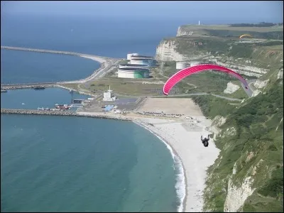 ANTIFER - Quel type de navires accueille le port du Havre Antifer ?