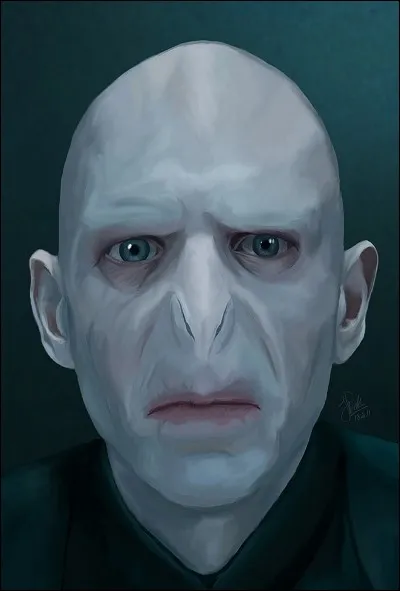 Qui a raconté la première partie de la prophétie à Voldemort ?