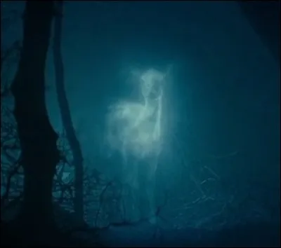 Une personne que tu aimes beaucoup va déménager très loin, que fais-tu ?