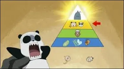 Comment le panda de May Chang s'appelle-t-il ?