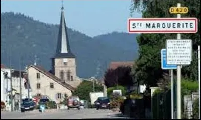 Pour finir, je vous emmène en Lorraine, à Sainte-Marguerite. Ville de l'arrondissement de Saint-Dié-des-Vosges, elle se situe dans le département ...