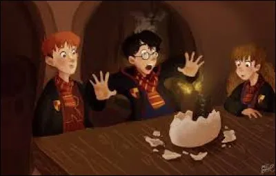 Quel est le nom du dragon de Hagrid ?