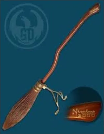 Qui offre à Harry son premier balai ?