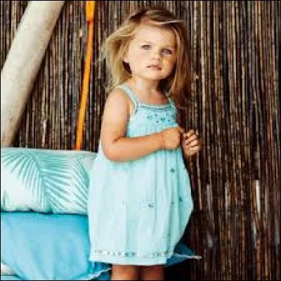 Que veut dire le mot "swag" ?