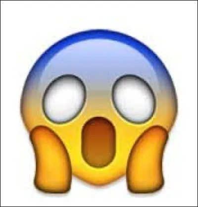 Qu'exprime ce smiley ?