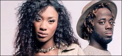 Qui chante "Love d'un voyou" ?