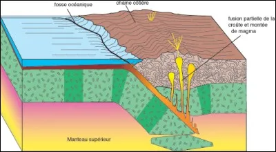Comment appelle-t-on ce phénomène : les plaques lithosphériques se rapprochent et disparaissent au niveau des fosses océaniques en plongeant sous l'asthénosphère ?