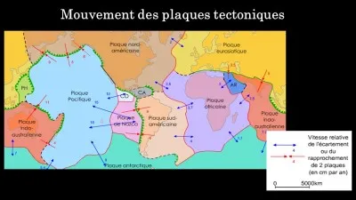 Quel est le mouvement qui n'existe pas pour les plaques ?