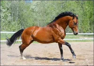 Où sont les ars et inters-ars ?