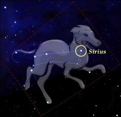 Un intrus s'est glissé dans le monde étoilé :