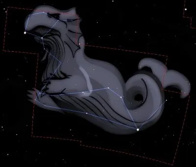 Encore une intruse à découvrir !